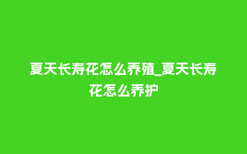 夏天长寿花怎么养殖_夏天长寿花怎么养护_鲜花知识_第1张_酷尚品 夏天长寿花怎么养殖_夏天长寿花怎么养护_https://www.kushangpin.com_鲜花知识_第1张