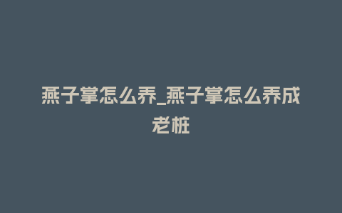燕子掌怎么养_燕子掌怎么养成老桩_鲜花知识_第1张_酷尚品 燕子掌怎么养_燕子掌怎么养成老桩_http://www.kushangpin.com_鲜花知识_第1张