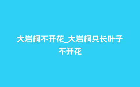 大岩桐不开花_大岩桐只长叶子不开花_鲜花知识_第1张_酷尚品 大岩桐不开花_大岩桐只长叶子不开花_https://www.kushangpin.com_鲜花知识_第1张