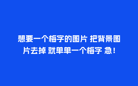 想要一个梅字的图片 把背景图片去掉 就单单一个梅字 急!_鲜花知识_第1张_酷尚品 想要一个梅字的图片 把背景图片去掉 就单单一个梅字 急!_http://www.kushangpin.com_鲜花知识_第1张
