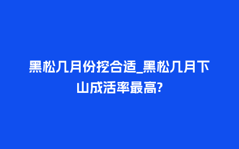 黑松几月份挖合适_黑松几月下山成活率最高?_http://www.kushangpin.com_鲜花知识_第1张