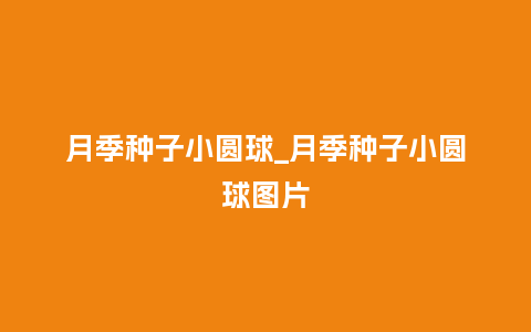 月季种子小圆球_月季种子小圆球图片_鲜花知识_第1张_酷尚品 月季种子小圆球_月季种子小圆球图片_https://www.kushangpin.com_鲜花知识_第1张