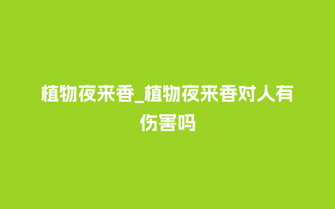 植物夜来香_植物夜来香对人有伤害吗_鲜花知识_第1张_酷尚品 植物夜来香_植物夜来香对人有伤害吗_http://www.kushangpin.com_鲜花知识_第1张