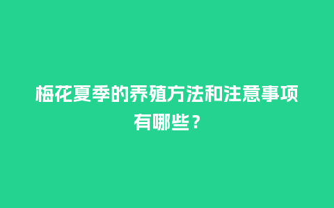 梅花夏季的养殖方法和注意事项有哪些?_鲜花知识_第1张_酷尚品 梅花夏季的养殖方法和注意事项有哪些?_https://www.kushangpin.com_鲜花知识_第1张