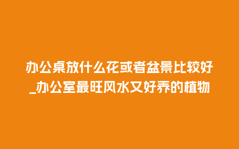 办公桌放什么花或者盆景比较好_办公室最旺风水又好养的植物_鲜花知识_第1张_酷尚品 办公桌放什么花或者盆景比较好_办公室最旺风水又好养的植物_https://www.kushangpin.com_鲜花知识_第1张