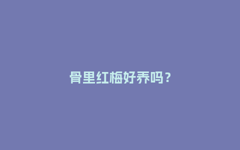 骨里红梅好养吗?_鲜花知识_第1张_酷尚品 骨里红梅好养吗?_https://www.kushangpin.com_鲜花知识_第1张