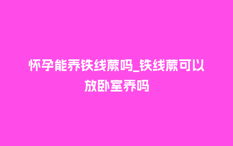 怀孕能养铁线蕨吗_铁线蕨可以放卧室养吗_http://www.kushangpin.com_鲜花知识_第1张