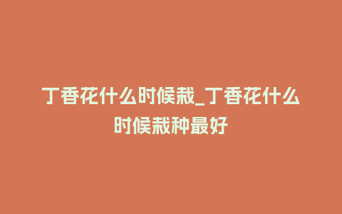 丁香花什么时候栽_丁香花什么时候栽种最好_鲜花知识_第1张_酷尚品 丁香花什么时候栽_丁香花什么时候栽种最好_https://www.kushangpin.com_鲜花知识_第1张