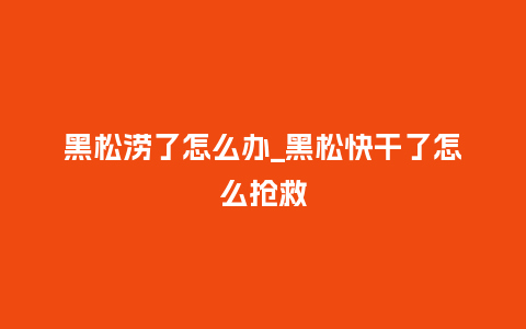 黑松涝了怎么办_黑松快干了怎么抢救_http://www.kushangpin.com_鲜花知识_第1张