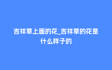 吉祥草上面的花_吉祥草的花是什么样子的_鲜花知识_第1张_酷尚品 吉祥草上面的花_吉祥草的花是什么样子的_http://www.kushangpin.com_鲜花知识_第1张