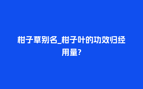 柑子草别名_柑子叶的功效归经用量?_https://www.kushangpin.com_鲜花知识_第1张