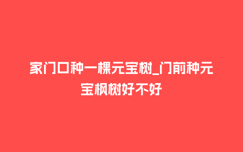 家门口种一棵元宝树_门前种元宝枫树好不好_鲜花知识_第1张_酷尚品 家门口种一棵元宝树_门前种元宝枫树好不好_http://www.kushangpin.com_鲜花知识_第1张
