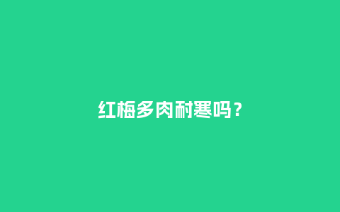 红梅多肉耐寒吗?_鲜花知识_第1张_酷尚品 红梅多肉耐寒吗?_https://www.kushangpin.com_鲜花知识_第1张