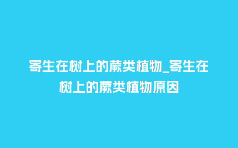 寄生在树上的蕨类植物_寄生在树上的蕨类植物原因_鲜花知识_第1张_酷尚品 寄生在树上的蕨类植物_寄生在树上的蕨类植物原因_http://www.kushangpin.com_鲜花知识_第1张