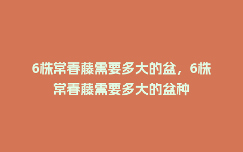 6株常春藤需要多大的盆,6株常春藤需要多大的盆种_鲜花知识_第1张_酷尚品 6株常春藤需要多大的盆,6株常春藤需要多大的盆种_https://www.kushangpin.com_鲜花知识_第1张