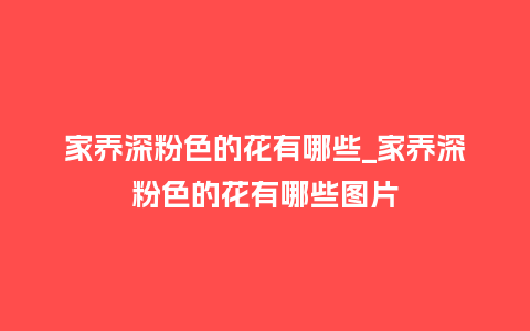 家养深粉色的花有哪些_家养深粉色的花有哪些图片_鲜花知识_第1张_酷尚品 家养深粉色的花有哪些_家养深粉色的花有哪些图片_http://www.kushangpin.com_鲜花知识_第1张