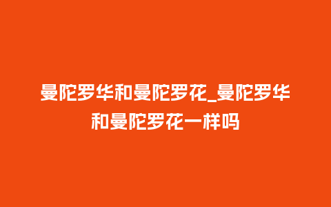 曼陀罗华和曼陀罗花_曼陀罗华和曼陀罗花一样吗_http://www.kushangpin.com_鲜花知识_第1张