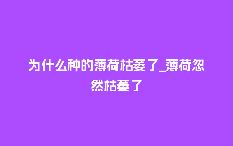 为什么种的薄荷枯萎了_薄荷忽然枯萎了_鲜花知识_第1张_酷尚品 为什么种的薄荷枯萎了_薄荷忽然枯萎了_https://www.kushangpin.com_鲜花知识_第1张