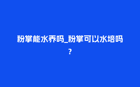 粉掌能水养吗_粉掌可以水培吗?_鲜花知识_第1张_酷尚品 粉掌能水养吗_粉掌可以水培吗?_http://www.kushangpin.com_鲜花知识_第1张