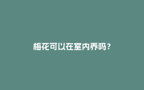 梅花可以在室内养吗?_鲜花知识_第1张_酷尚品 梅花可以在室内养吗?_https://www.kushangpin.com_鲜花知识_第1张