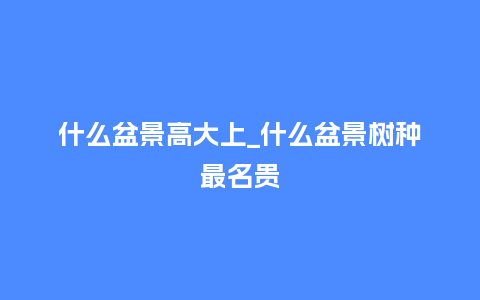 什么盆景高大上_什么盆景树种最名贵_鲜花知识_第1张_酷尚品 什么盆景高大上_什么盆景树种最名贵_https://www.kushangpin.com_鲜花知识_第1张