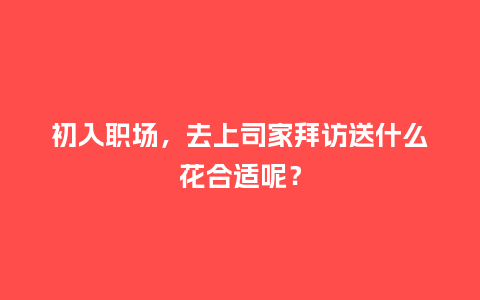 初入职场，去上司家拜访送什么花合适呢？_https://www.kushangpin.com_送礼知识_第1张
