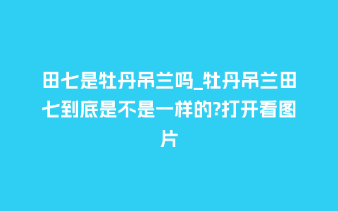 田七是牡丹吊兰吗_牡丹吊兰田七到底是不是一样的?打开看图片_http://www.kushangpin.com_鲜花知识_第1张