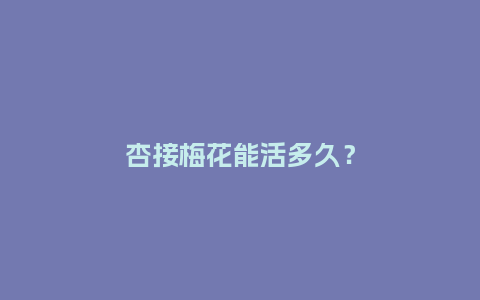杏接梅花能活多久?_鲜花知识_第1张_酷尚品 杏接梅花能活多久?_https://www.kushangpin.com_鲜花知识_第1张