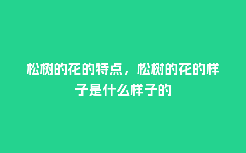 松树的花的特点，松树的花的样子是什么样子的_https://www.kushangpin.com_鲜花知识_第1张