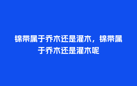 锦带属于乔木还是灌木,锦带属于乔木还是灌木呢_鲜花知识_第1张_酷尚品 锦带属于乔木还是灌木,锦带属于乔木还是灌木呢_https://www.kushangpin.com_鲜花知识_第1张