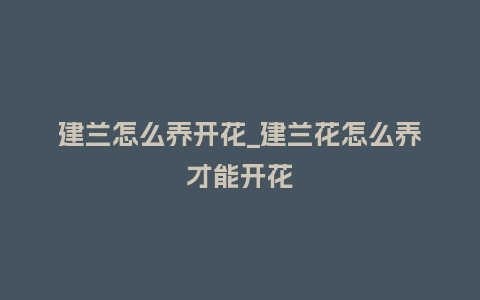 建兰怎么养开花_建兰花怎么养才能开花_鲜花知识_第1张_酷尚品 建兰怎么养开花_建兰花怎么养才能开花_http://www.kushangpin.com_鲜花知识_第1张