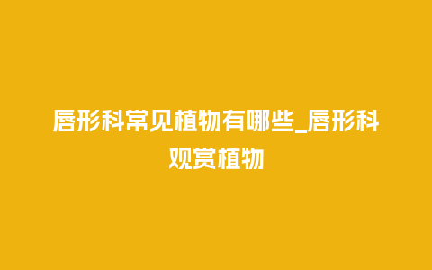 唇形科常见植物有哪些_唇形科观赏植物_鲜花知识_第1张_酷尚品 唇形科常见植物有哪些_唇形科观赏植物_http://www.kushangpin.com_鲜花知识_第1张