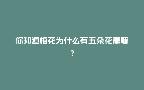 你知道梅花为什么有五朵花瓣嘛？_http://www.kushangpin.com_鲜花知识_第1张