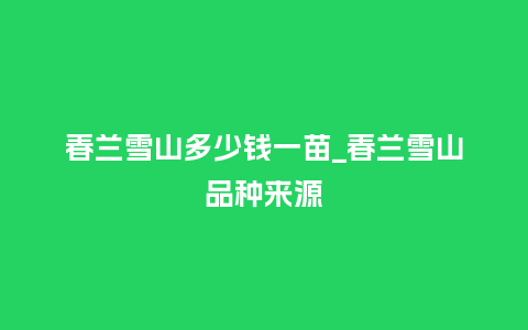 春兰雪山多少钱一苗_春兰雪山品种来源_鲜花知识_第1张_酷尚品 春兰雪山多少钱一苗_春兰雪山品种来源_https://www.kushangpin.com_鲜花知识_第1张