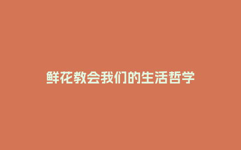 鲜花教会我们的生活哲学_https://www.kushangpin.com_送礼知识_第1张