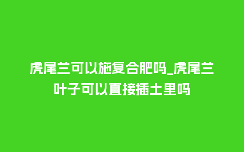 虎尾兰可以施复合肥吗_虎尾兰叶子可以直接插土里吗_https://www.kushangpin.com_鲜花知识_第1张