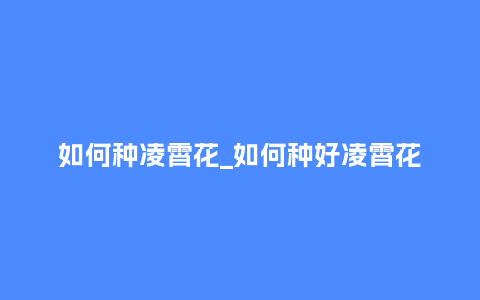 如何种凌霄花_如何种好凌霄花_鲜花知识_第1张_酷尚品 如何种凌霄花_如何种好凌霄花_http://www.kushangpin.com_鲜花知识_第1张
