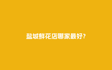 盐城鲜花店哪家最好?_https://www.kushangpin.com_送礼知识_第1张