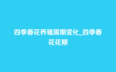 四季春花养殖周期变化_四季春花花期_鲜花知识_第1张_酷尚品 四季春花养殖周期变化_四季春花花期_https://www.kushangpin.com_鲜花知识_第1张