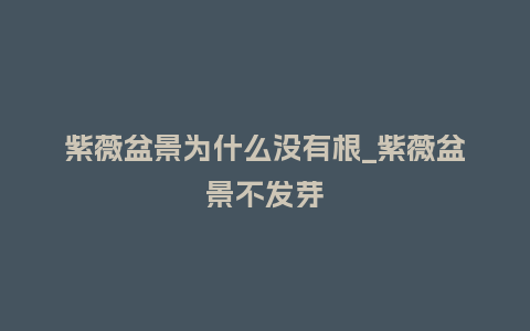 紫薇盆景为什么没有根_紫薇盆景不发芽_鲜花知识_第1张_酷尚品 紫薇盆景为什么没有根_紫薇盆景不发芽_https://www.kushangpin.com_鲜花知识_第1张