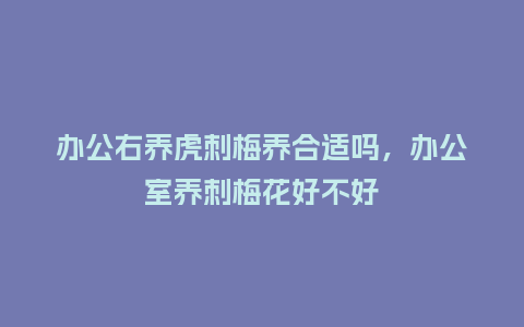 办公右养虎刺梅养合适吗,办公室养刺梅花好不好_鲜花知识_第1张_酷尚品 办公右养虎刺梅养合适吗,办公室养刺梅花好不好_https://www.kushangpin.com_鲜花知识_第1张