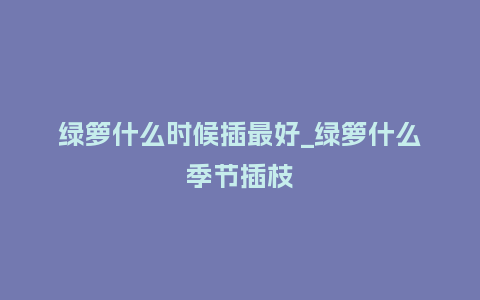 绿箩什么时候插最好_绿箩什么季节插枝_鲜花知识_第1张_酷尚品 绿箩什么时候插最好_绿箩什么季节插枝_http://www.kushangpin.com_鲜花知识_第1张