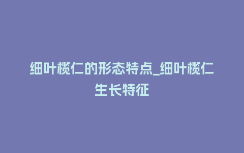 细叶榄仁的形态特点_细叶榄仁生长特征_鲜花知识_第1张_酷尚品 细叶榄仁的形态特点_细叶榄仁生长特征_https://www.kushangpin.com_鲜花知识_第1张