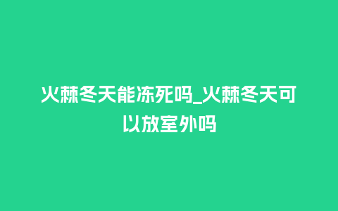 火棘冬天能冻死吗_火棘冬天可以放室外吗_鲜花知识_第1张_酷尚品 火棘冬天能冻死吗_火棘冬天可以放室外吗_https://www.kushangpin.com_鲜花知识_第1张