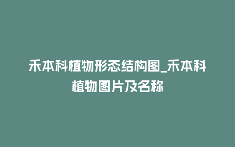 禾本科植物形态结构图_禾本科植物图片及名称_https://www.kushangpin.com_鲜花知识_第1张