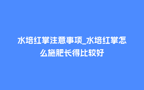 水培红掌注意事项_水培红掌怎么施肥长得比较好_http://www.kushangpin.com_鲜花知识_第1张