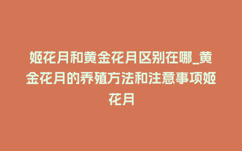 姬花月和黄金花月区别在哪_黄金花月的养殖方法和注意事项姬花月_鲜花知识_第1张_酷尚品 姬花月和黄金花月区别在哪_黄金花月的养殖方法和注意事项姬花月_https://www.kushangpin.com_鲜花知识_第1张