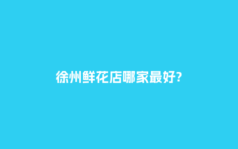 徐州鲜花店哪家最好?_https://www.kushangpin.com_送礼知识_第1张