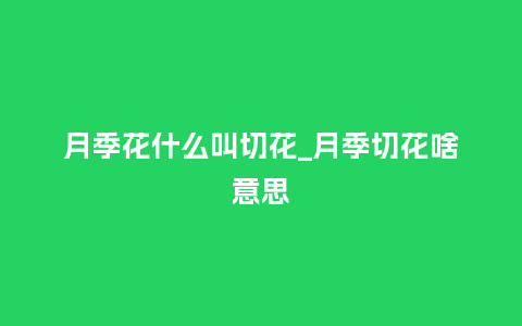 月季花什么叫切花_月季切花啥意思_鲜花知识_第1张_酷尚品 月季花什么叫切花_月季切花啥意思_http://www.kushangpin.com_鲜花知识_第1张