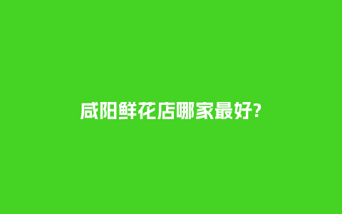 咸阳鲜花店哪家最好?_https://www.kushangpin.com_送礼知识_第1张